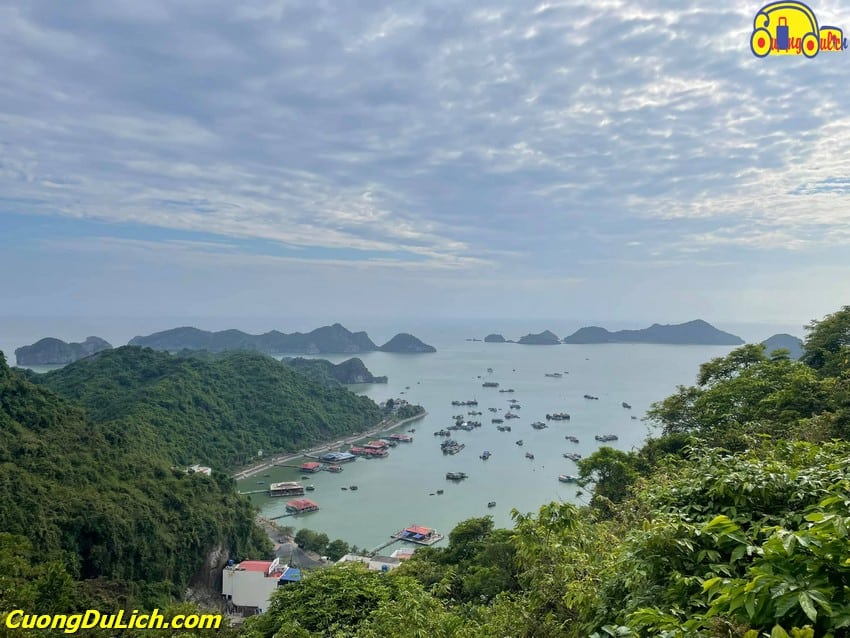 Hướng Dẫn Du Lịch Cát Bà Vịnh Lan Hạ Tiết Kiệm Chi Phí Cùng Người Địa Phương 2023