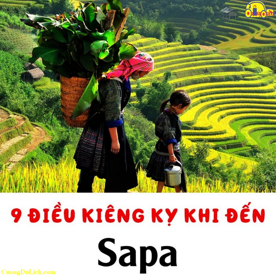 Những Điều Cần Tránh Khi Du Lịch Ở Việt Nam Hiện Nay