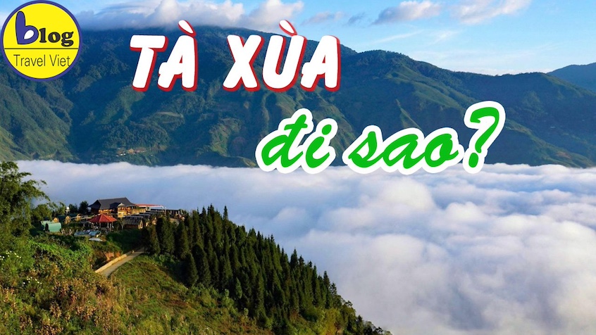 Du lịch Tà Xùa tự túc: Kinh nghiệm khám phá trọn vẹn trong 3 ngày 2 đêm