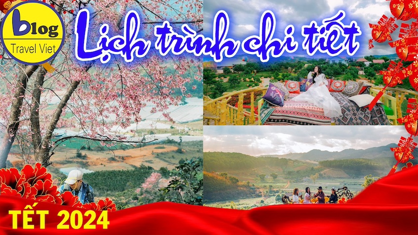 Du lịch Đà Lạt vào dịp Tết 2025: Kinh nghiệm lập kế hoạch cho chuyến đi 3 ngày 2 đêm.