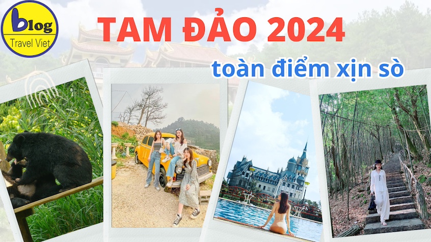 Tổng hợp 19 địa điểm du lịch nổi tiếng nhất Tam Đảo