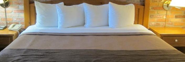 Những nhà nghỉ giá rẻ tuyệt vời cho gia đình ở Toronto, bạn có muốn đến ở không?