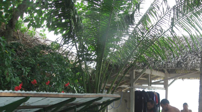 Đến chơi tại đảo Cebu, bạn đã chiến thắng, điều này là thật!