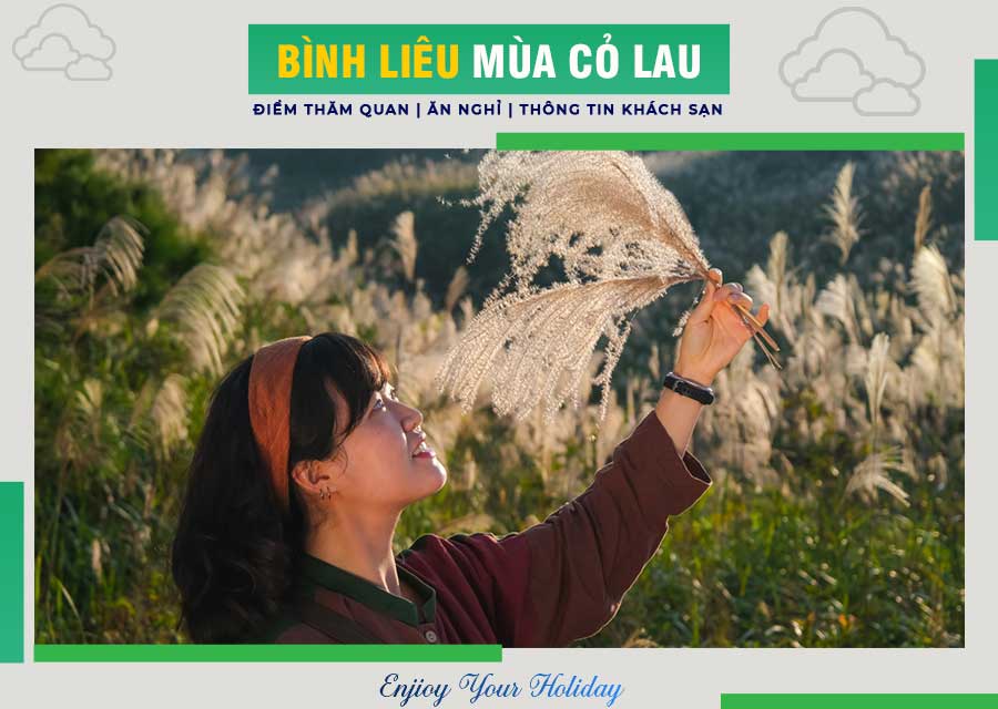 Mùa hoa lau Bình Liêu