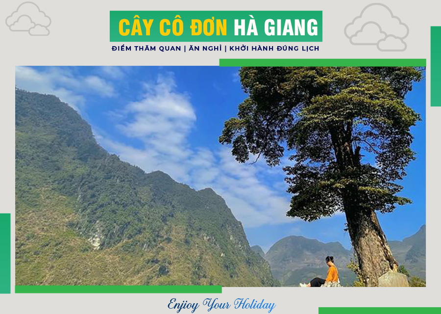 Cây cô đơn Hà Giang