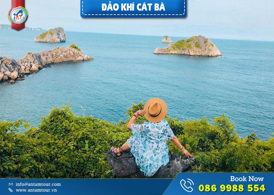 Đảo Khỉ trên Cát Bà