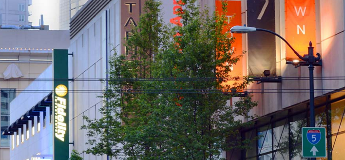 Địa điểm mua sắm ở Seattle đáng hoan nghênh