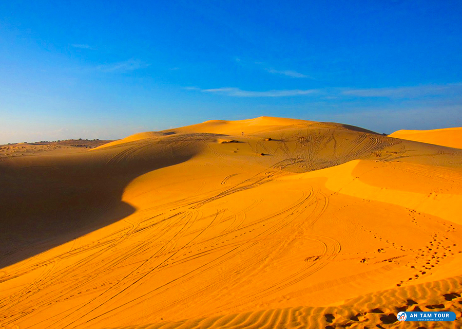 Đồi Cát Đỏ ở Phan Thiết có gì hấp dẫn? Hướng dẫn tham quan từ A-Z