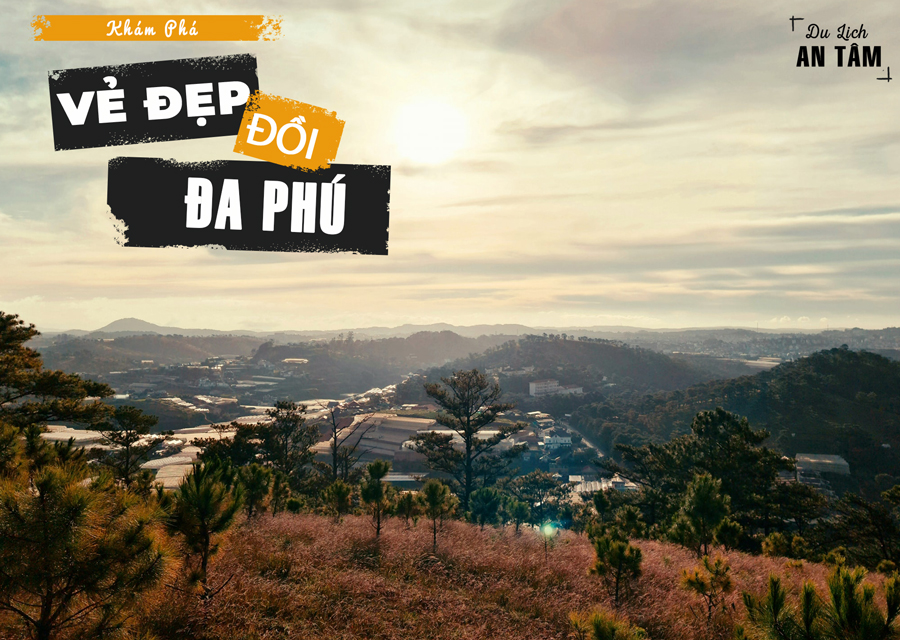 Đánh giá Đồi Đa Phú