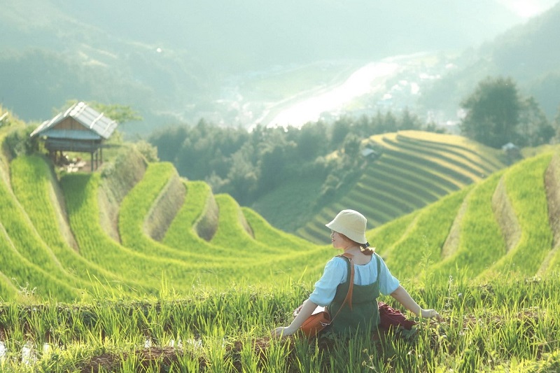 Ngắm nhìn đồi móng ngựa Mù Cang Chải trong mùa lúa chín