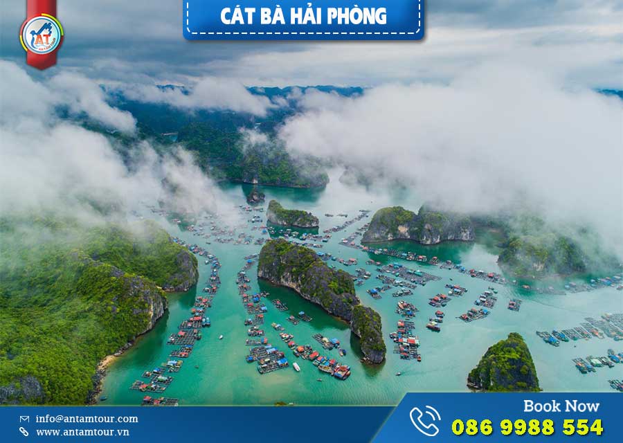 Huyện Đảo Cát Bà – Tất Tần Tật Thông Tin Về Cát Bà