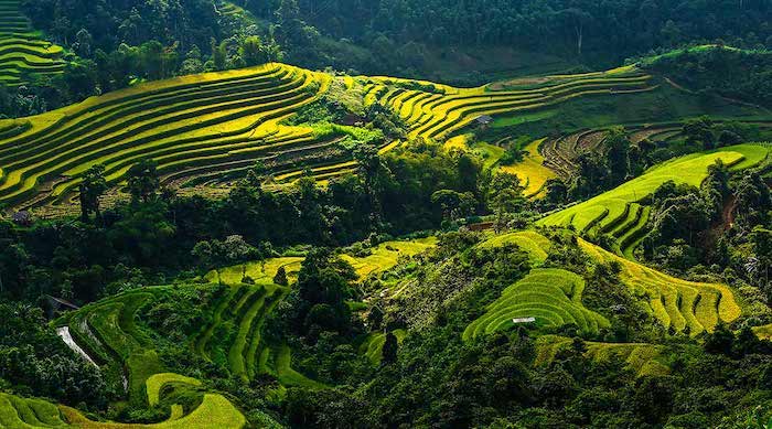 Du lịch Hà Giang vào mùa nào đẹp nhất và những lưu ý cần nhớ – Kavo Travel