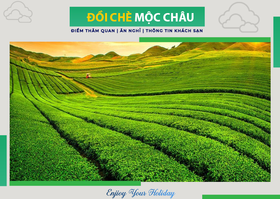 Du Lịch Mộc Châu Có Những Gì Đặc Sắc?