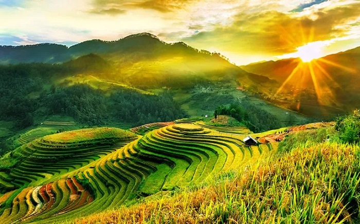 Kinh nghiệm du lịch Mù Cang Chải tự túc từ A đến Z mới nhất năm 2025