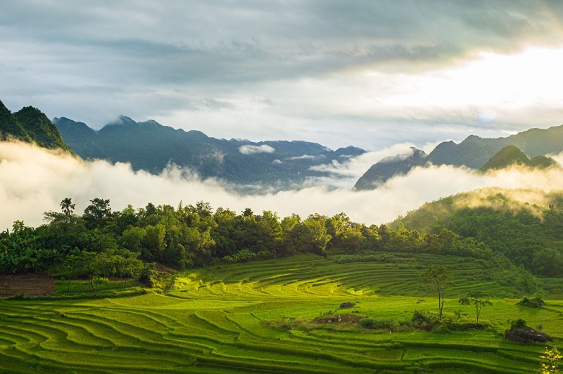 Kinh nghiệm du lịch Pù Luông 3 ngày 2 đêm tự túc từ A tới Z