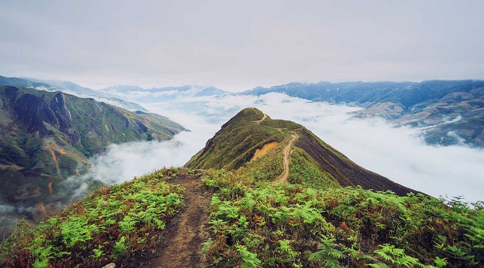 Du lịch Tà Xùa có gì hấp dẫn? Có nên tham gia tour Tà Xùa không? – Kavo Travel