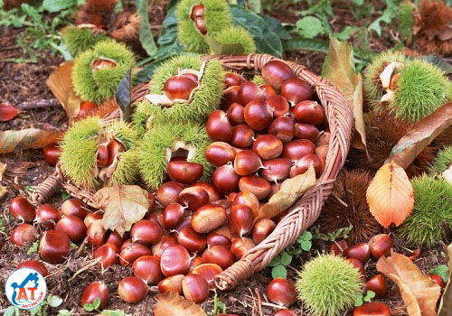 Mua gì làm quà khi du lịch Cao Bằng?