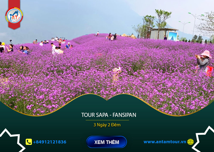 TĂM BIẾN VỚI VẺ ĐẸP CỦA VƯỜN HOA OẢI HƯƠNG SAPA