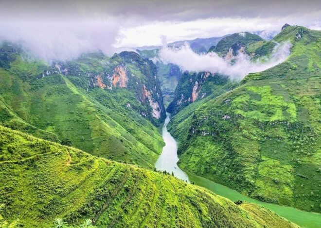 Kinh nghiệm du lịch Hà Giang tự túc: Hướng dẫn từ A đến Z năm 2025