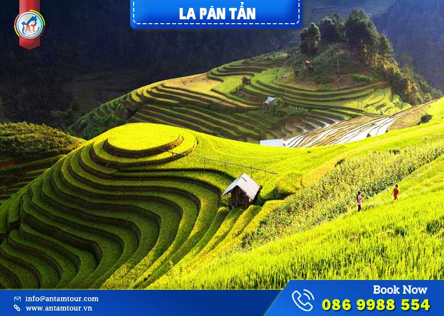 Lễ hội Pán Tẩn Mù Cang Chải