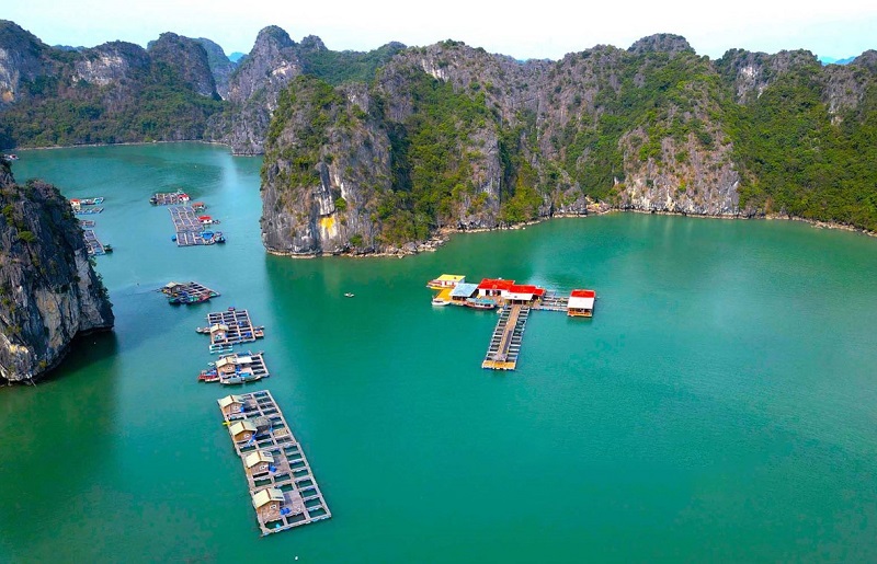 Kinh nghiệm đi làng chài Vung Viêng Quảng Ninh chi tiết từ A đến Z năm 2025