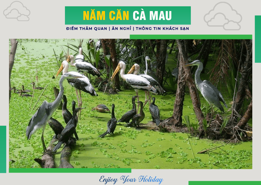 Năm Căn Cà Mau
