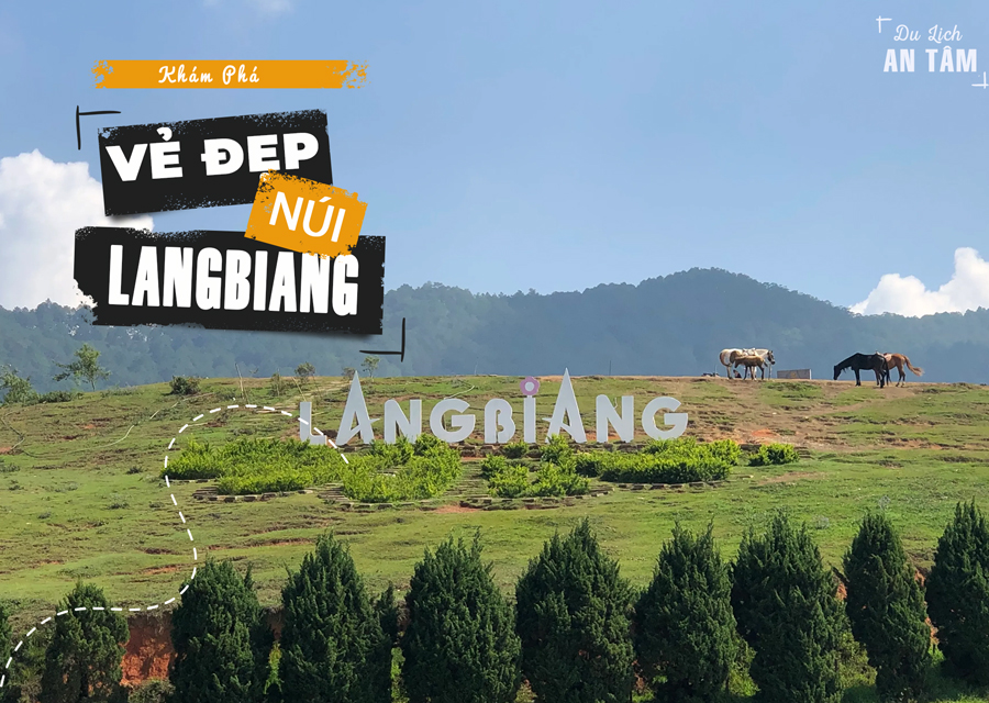 Khu Du Lịch Núi Langbiang Đà Lạt