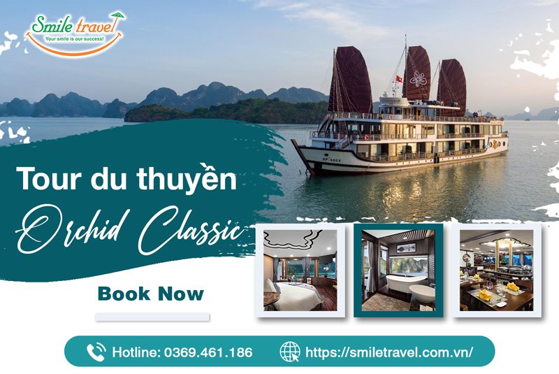 Chi Phí Chuyến Đi Du Thuyền Orchid Classic