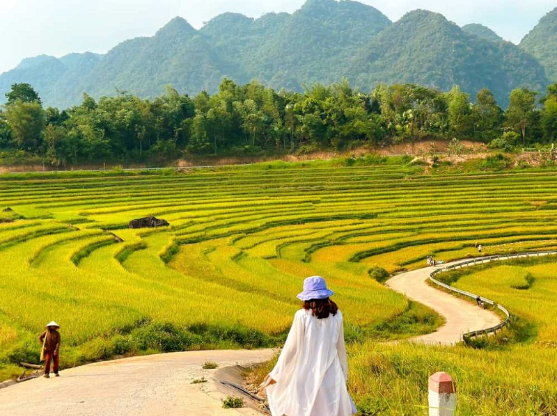 Pù Luông vào tháng 10 có gì đẹp? Hướng dẫn du lịch chi tiết