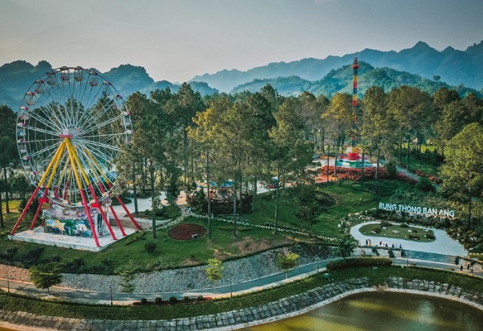 Rừng thông Bản Áng Đông Sang Mộc Châu Sơn La có điểm gì thú vị? – Kavo Travel
