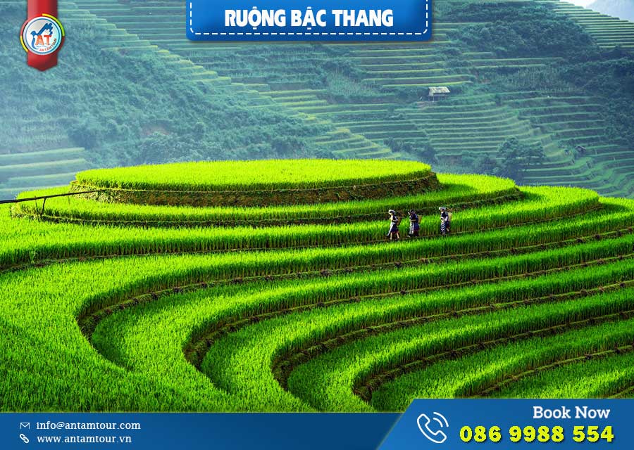 Cập Nhật Về Lễ Hội Bậc Thang Mù Cang Chải