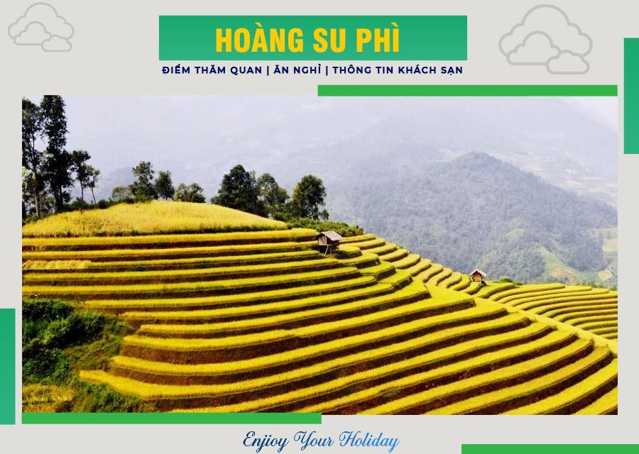 Tất Cả Kinh Nghiệm Du Lịch Hoàng Su Phì Trong Mùa Lúa Chín