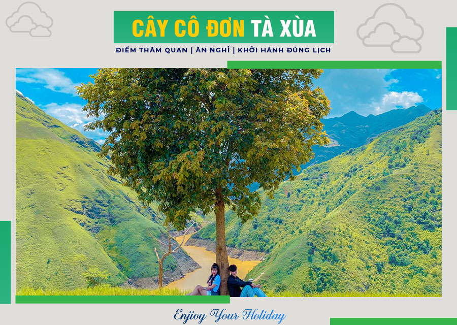 Cây Cô Đơn Tà Xùa