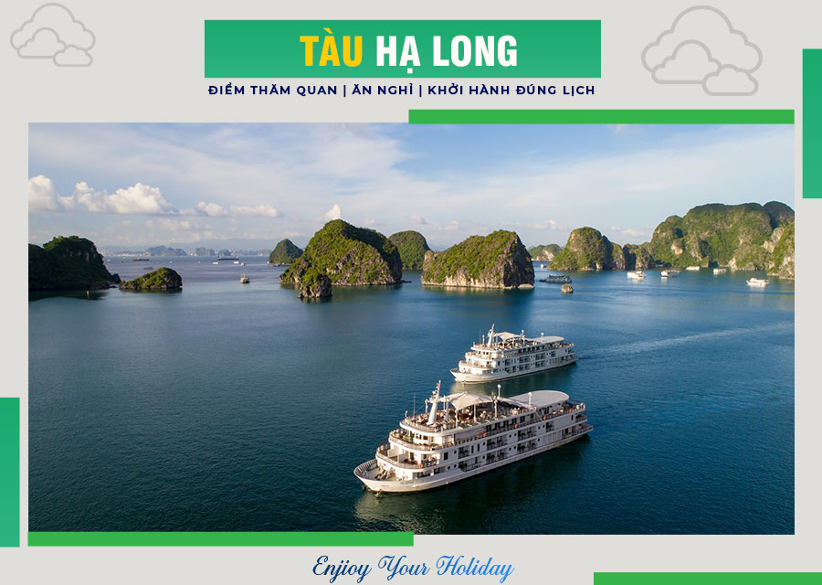 Các Công Ty Tàu Hạ Long