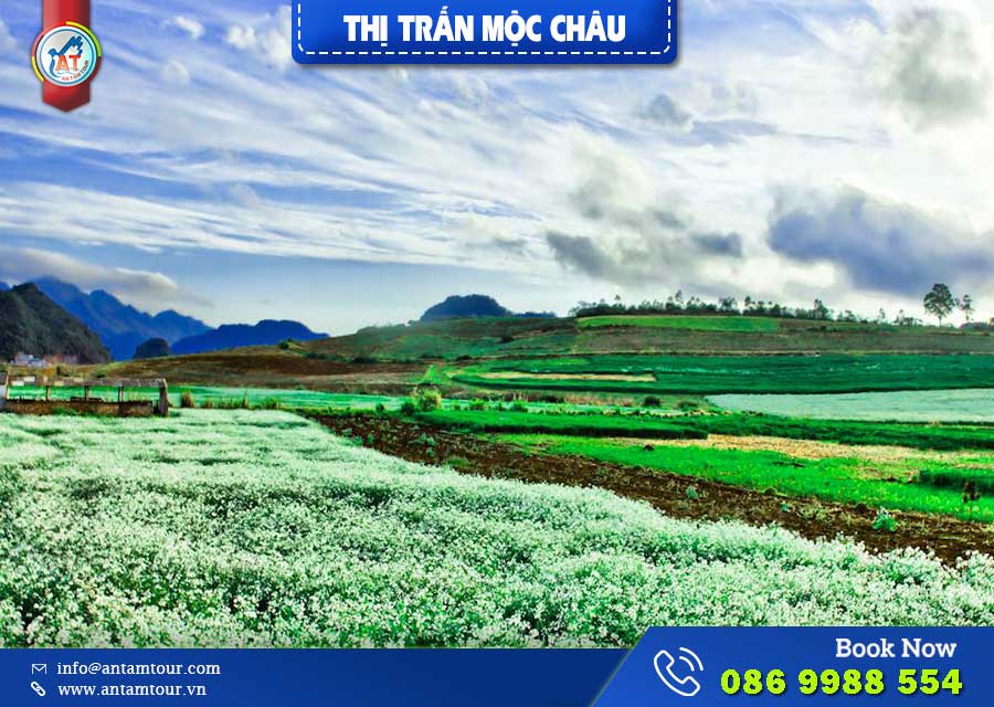 Mộc Châu – Vẻ Đẹp Của Vùng Đất Hoa Đẹp