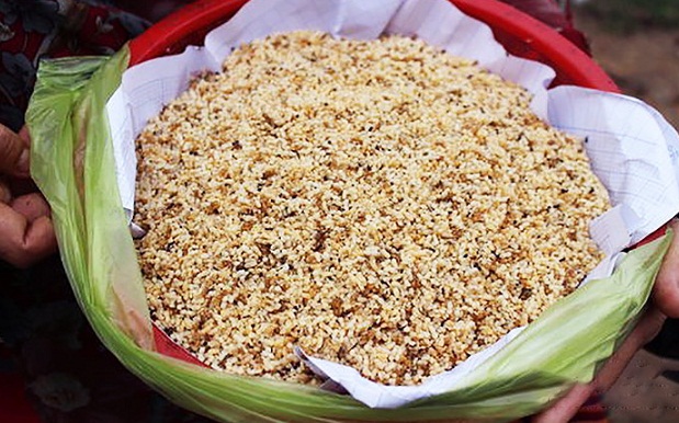 XÔI TRỨNG KIẾN BẮC GIANG