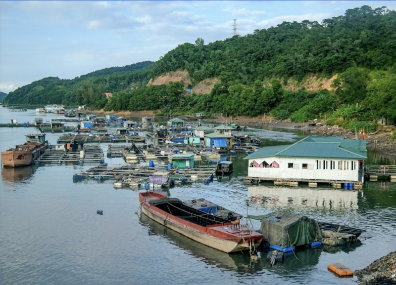 Bí quyết du lịch Vịnh Bái Tử Long: Nghỉ ở đâu, tham quan những gì, thưởng thức món gì?