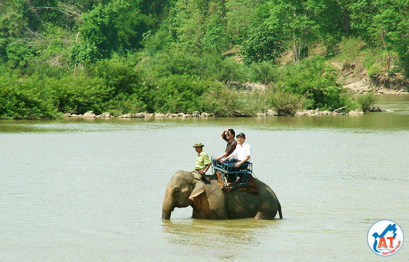 Vẻ đẹp sống động của mùa mưa ở Tây Nguyên